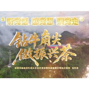 龙玲芝：钻牛角尖 做振兴茶
