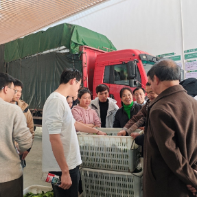 2025年株洲市渌口区基层农技推广体系改革与建设项目农技推广骨干培训班开班