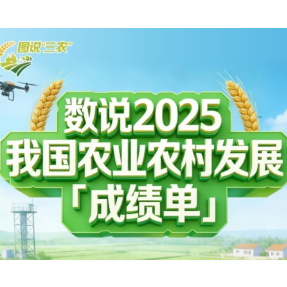 2025农业农村发展成绩单出炉！5组数据看乡村振兴新图景