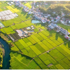 湖南三企深耕绿色发展实践 以生态之力绘就乡村振兴新图景