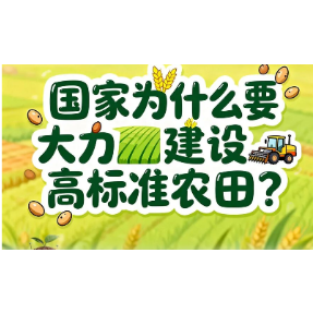 一图读懂 | 国家为什么要大力建设高标准农田？