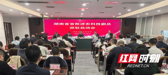 科技副总.marked.jpg