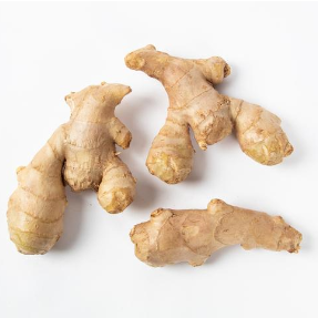 湖南江永:抢抓农时种香姜 特色产业促振兴