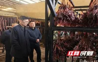 湖南省农业农村厅深入宁远大屋地村调研指导驻村帮扶与乡村振兴工作