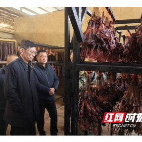 湖南省农业农村厅深入宁远大屋地村调研指导驻村帮扶与乡村振兴工作