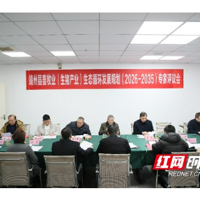 擘画生态循环新蓝图，靖州县开启生猪产业十年发展规划