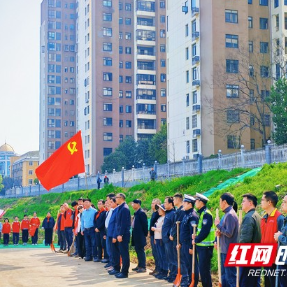 守护“院士田” 播撒“新希望”——龙马社区携手省农科院在袁隆平试验田旁共植青绿