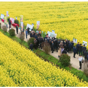 田间“问诊”忙！湖南千名“植保侦察兵”实干护航春耕