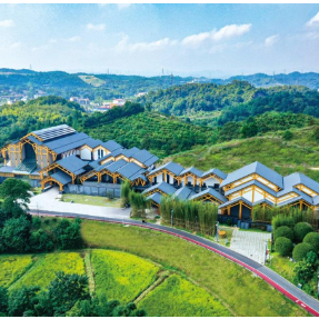 王建球：绘就“三湘大地”和美乡村新图景｜2026中央一号文件专刊