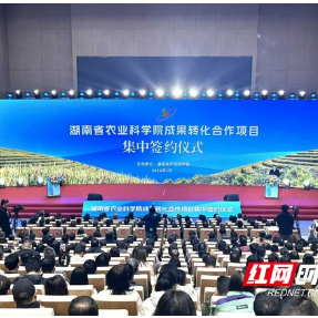 1.125亿元!湖南省农科院集中签约超1亿元 科技兴农再提速