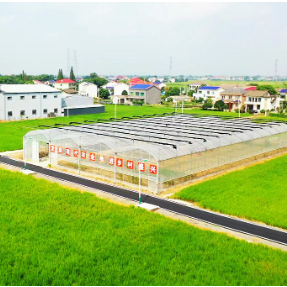 耕耘在春天丨硬核举措护春耕 湖南确保早稻面积稳定在1800万亩以上