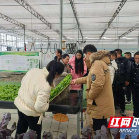 永州市组织蔬菜经营主体赴湘潭开展跨区实训，以学促干赋能蔬菜产业高质量发展