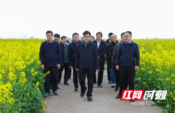 湖南省农科院赴华容县调研指导春耕生产