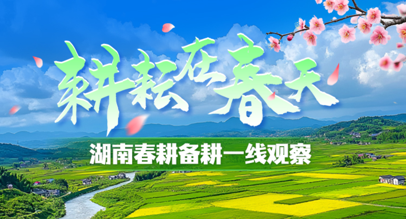 专题 | 耕耘在春天——湖南春耕备耕一线观察