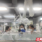 “碎米渣”变身优质蛋白 湖南企业突破一饲料业“卡脖子”难题