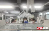 “碎米渣”变身优质蛋白 湖南企业突破一饲料业“卡脖子”难题