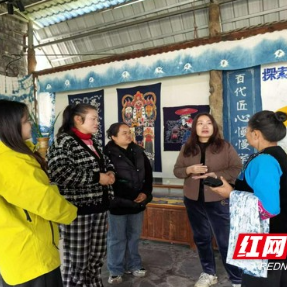 吉首市启动“回头看、帮着干”跟踪服务 让数字化技能在“新农人”手中落地生根