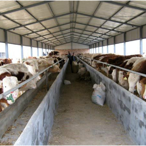 湖南阴雨“超长待机” 牛羊养殖户必看的防潮防疫保产实操措施