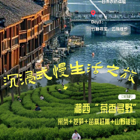 和美乡村去哪游 |  湘村春正好①湘西“茶香寻野”沉浸式慢生活之旅