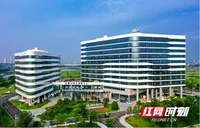 一粒种子的 “湖南功夫”