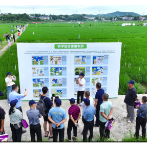 精准用药，提质增效——湖南打出农药科学安全使用“组合拳”