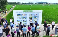 精准用药，提质增效——湖南打出农药科学安全使用“组合拳”
