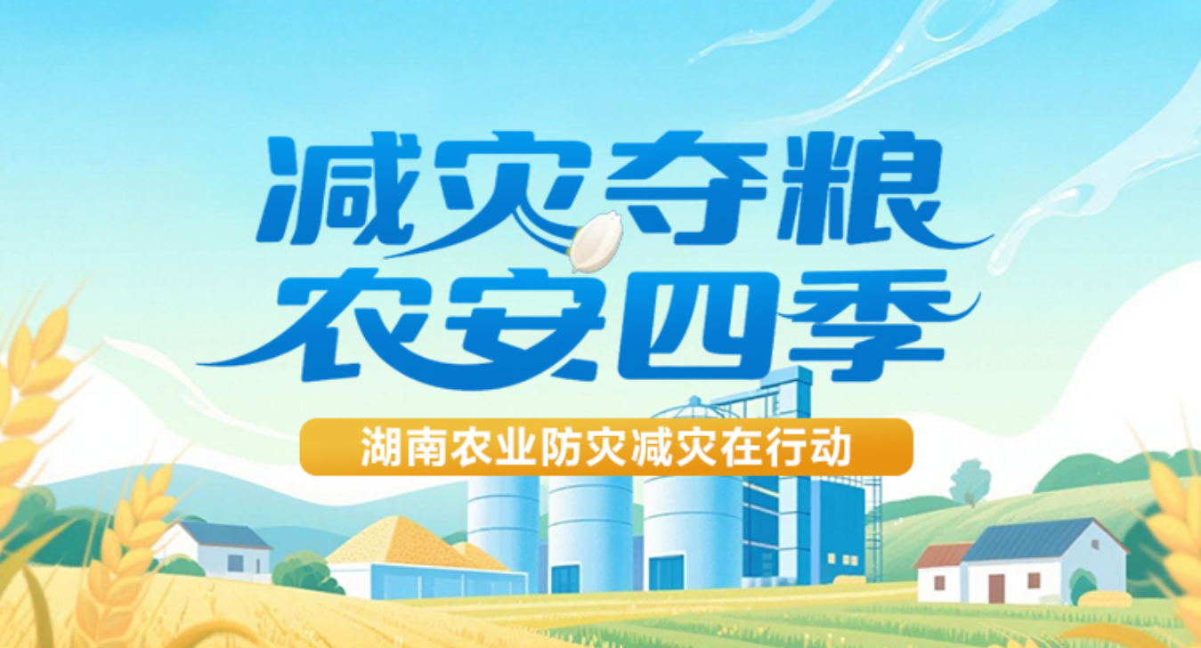 专题 | 减灾夺粮 农安四季——湖南农业防灾减灾在行动