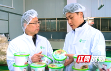 “乡创客”吴文兵：匠心活化新化味道 乡土美食远销海外