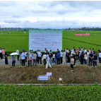 全国农作物病虫害物理消杀技术培训班在湖南长沙举办