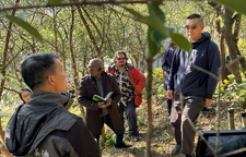 外资“贷”动小茶果蝶变——湘西古丈县油茶产业振兴纪实
