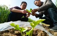 湖南今年将培训3万余农民：无人机飞手、农耕网红、AI种地……