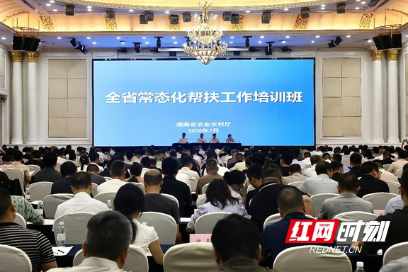 全省常态化帮扶工作培训.marked.jpg 全省常态化帮扶工作培训.marked.jpg