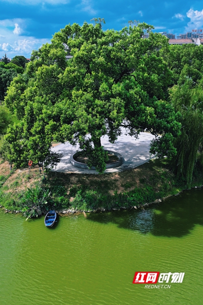 红旗水库2.jpg
