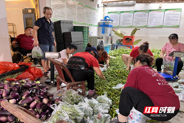 图片5.png 图片5.png