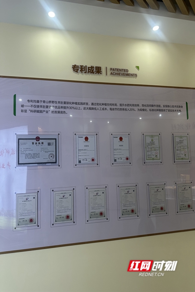 微信图片_20260827105518_13_96.jpg