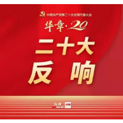 二十大时光丨怀化15名文化馆馆长感言：“铸就社会主义文化新辉煌，我们一点一滴行动起来！”