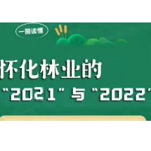 一图读懂 | 怀化林业的“2021”与“2022”