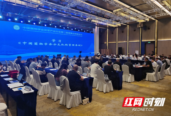 中国菌物学会茯苓产业分会第一届理事会第二次会议在靖州举行