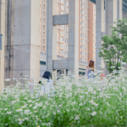 打卡长沙 | 小片雏菊吸引大量游人，快看长沙地铁口的小浪漫