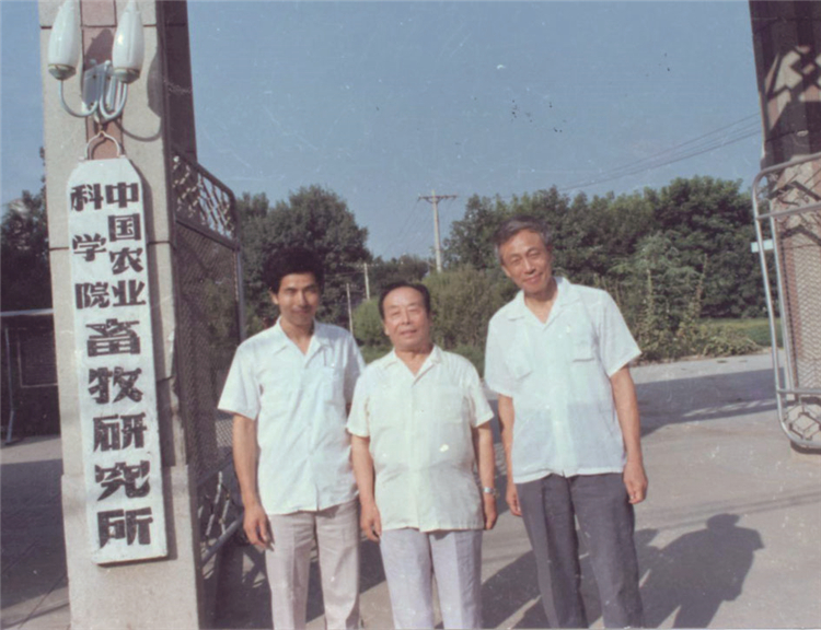 1、1987年陶一山到中国农科院求得专家营养配方,骆驼牌饲料下线。.jpg 1、1987年陶一山到中国农科院求得专家营养配方,骆驼牌饲料下线。.jpg