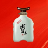 湖南省级质量奖得主邀自媒体共话品质 武陵酒开放日启动报名