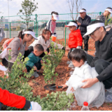 永旺梦乐城长沙湘江新区开展植树活动 共绘绿色生活