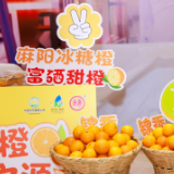 麻阳冰糖橙盒马上新 产地与零售平台深度协同