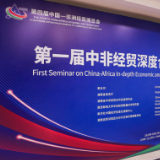 首届中非经贸深度合作智库建设研讨会在长沙举行 发布《中非经贸指数报告（2025）》
