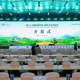 掘金万亿非洲蓝海 湖南搭台链接全球农业新机遇