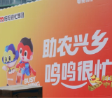 透过央视镜头,看鸣鸣很忙如何把乡村好物卖爆全国