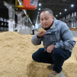 两代湘西人，一瓶酒鬼酒：匠心告诉您馥郁香是怎么酿成的？