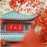  打卡长沙 | 岳麓山枫叶：霜叶红于二月花