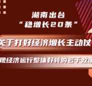 视频 | 湖南发布“稳增长20条”（附全文）