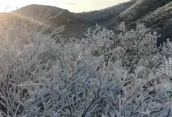 长沙主城区下雪籽了，中雪大雪即将抵达长沙！最低气温-4～-2℃